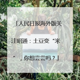 人民日报海外版关注昭通：土豆变“米”，你想尝尝吗？