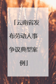 云南省发布劳动人事争议典型案例