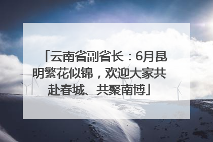 云南省副省长：6月昆明繁花似锦，欢迎大家共赴春城、共聚南博