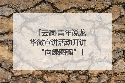 云洞·青年说龙华微宣讲活动开讲“向绿图强”