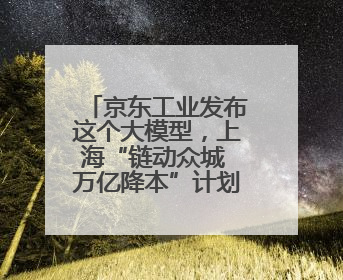 京东工业发布这个大模型，上海“链动众城 万亿降本”计划启动