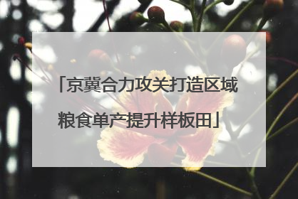 京冀合力攻关打造区域粮食单产提升样板田