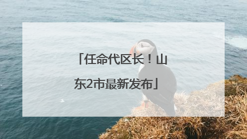 任命代区长！山东2市最新发布