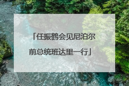 任振鹤会见尼泊尔前总统班达里一行