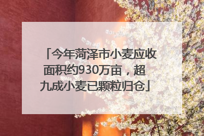 今年菏泽市小麦应收面积约930万亩,超九成小麦已颗粒归仓
