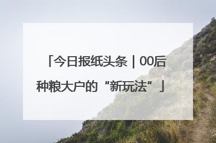 今日报纸头条｜00后种粮大户的“新玩法”