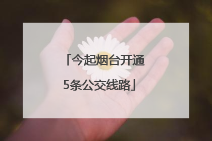 今起烟台开通5条公交线路