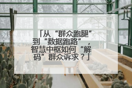从“群众跑腿”到“数据跑路”，智慧中枢如何“解码”群众诉求？