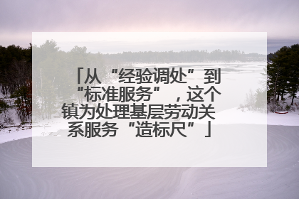 从“经验调处”到“标准服务”，这个镇为处理基层劳动关系服务“造标尺”
