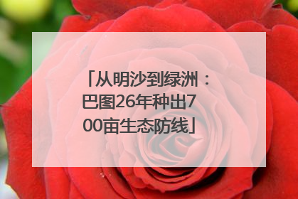 从明沙到绿洲：巴图26年种出700亩生态防线
