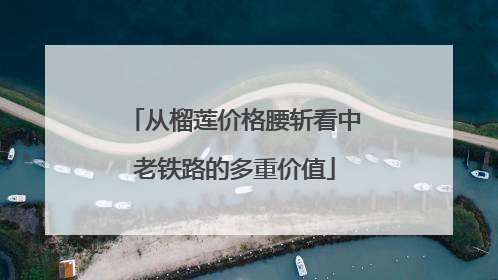 从榴莲价格腰斩看中老铁路的多重价值