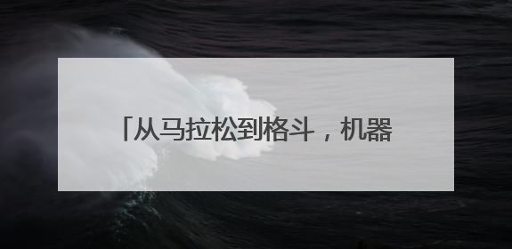 从马拉松到格斗，机器人为啥都爱搞体育？