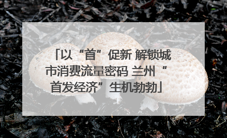 以“首”促新 解锁城市消费流量密码 兰州“首发经济”生机勃勃