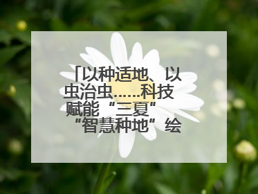 以种适地、以虫治虫……科技赋能“三夏” “智慧种地”绘就好“丰”景