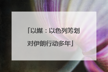 以媒：以色列筹划对伊朗行动多年