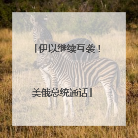 伊以继续互袭！美俄总统通话