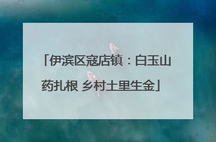 伊滨区寇店镇：白玉山药扎根 乡村土里生金