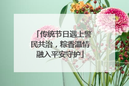 传统节日遇上警民共治，粽香温情融入平安守护
