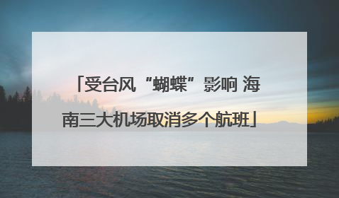 受台风“蝴蝶”影响 海南三大机场取消多个航班