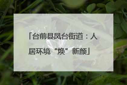台前县凤台街道：人居环境“焕”新颜