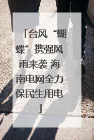 台风“蝴蝶”携强风雨来袭 海南电网全力保民生用电