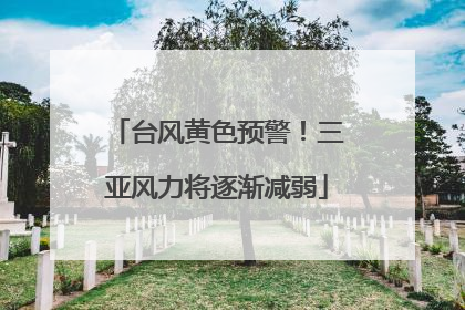 台风黄色预警！三亚风力将逐渐减弱
