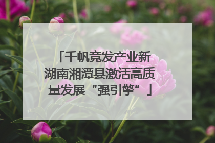 千帆竞发产业新 湖南湘潭县激活高质量发展“强引擎”