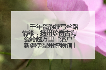 千年瓷韵续写丝路情缘，扬州珍贵古陶瓷跨越万里“落户”新疆伊犁州博物馆