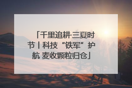 千里追耕·三夏时节丨科技“铁军”护航 麦收颗粒归仓