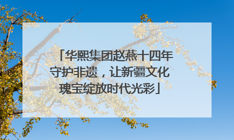 华熙集团赵燕十四年守护非遗，让新疆文化瑰宝绽放时代光彩