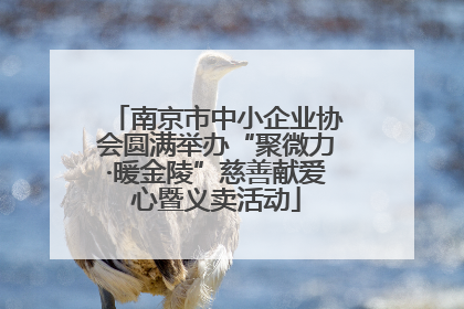 南京市中小企业协会圆满举办“聚微力·暖金陵”慈善献爱心暨义卖活动