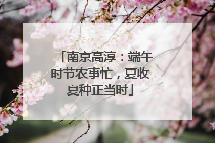 南京高淳：端午时节农事忙，夏收夏种正当时