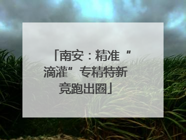 南安：精准“滴灌”专精特新竞跑出圈