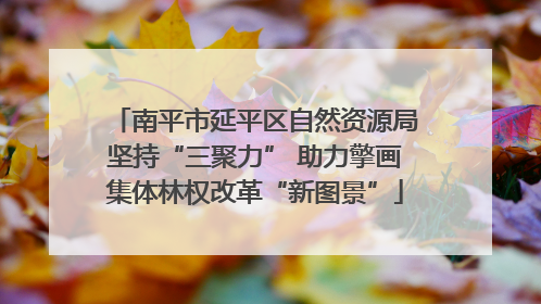 南平市延平区自然资源局坚持“三聚力” 助力擎画集体林权改革“新图景”