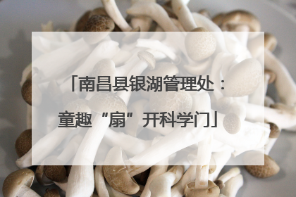 南昌县银湖管理处：童趣“扇”开科学门