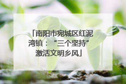 南阳市宛城区红泥湾镇：“三个坚持”激活文明乡风