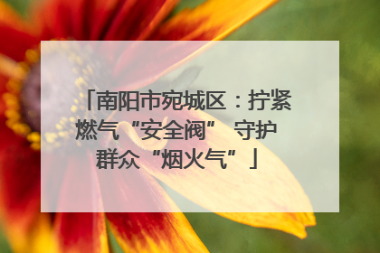 南阳市宛城区：拧紧燃气“安全阀” 守护群众“烟火气”