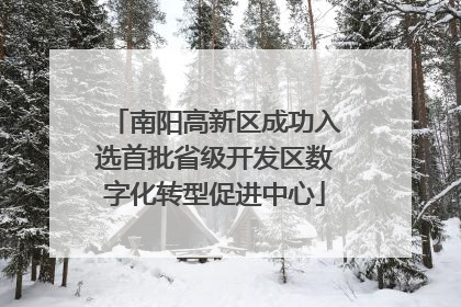南阳高新区成功入选首批省级开发区数字化转型促进中心