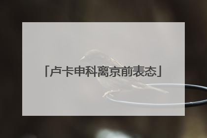 卢卡申科离京前表态