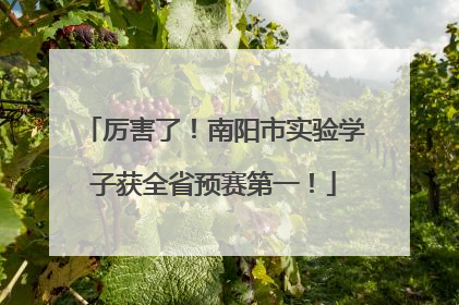 厉害了！南阳市实验学子获全省预赛第一！