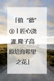 值“德”③丨匠心浇灌 隆子高原培育希望之花