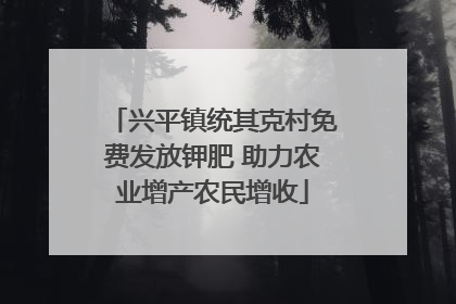 兴平镇统其克村免费发放钾肥 助力农业增产农民增收