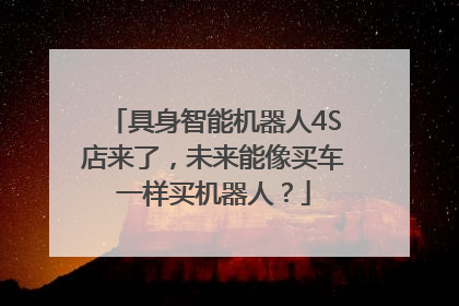 具身智能机器人4S店来了，未来能像买车一样买机器人？