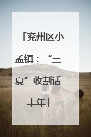 兖州区小孟镇：“三夏”收割话丰年