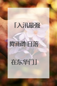 入汛最强降雨昨日落在东华门