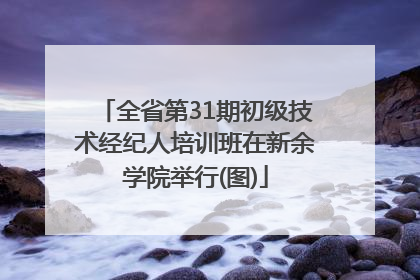 全省第31期初级技术经纪人培训班在新余学院举行(图)