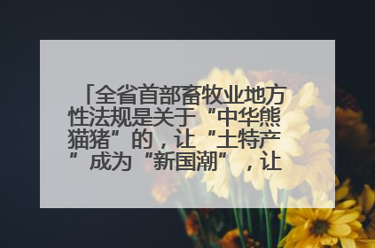 全省首部畜牧业地方性法规是关于“中华熊猫猪”的，让“土特产”成为“新国潮”，让“农产品”升格为“城市IP”