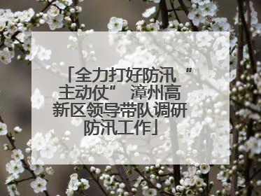 全力打好防汛“主动仗” 漳州高新区领导带队调研防汛工作