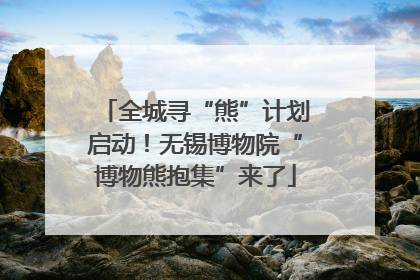 全城寻“熊”计划启动！无锡博物院“博物熊抱集”来了