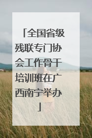 全国省级残联专门协会工作骨干培训班在广西南宁举办